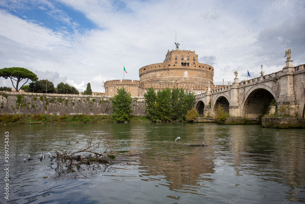 Seagulls perched on an island in the river Tiber in Rome