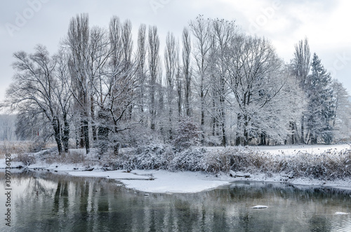 Winterliche Landschaft am Rhein mit schneebedeckten Bäumen bei Stein am Rhein, Kanton Schaffhausen, Schweiz