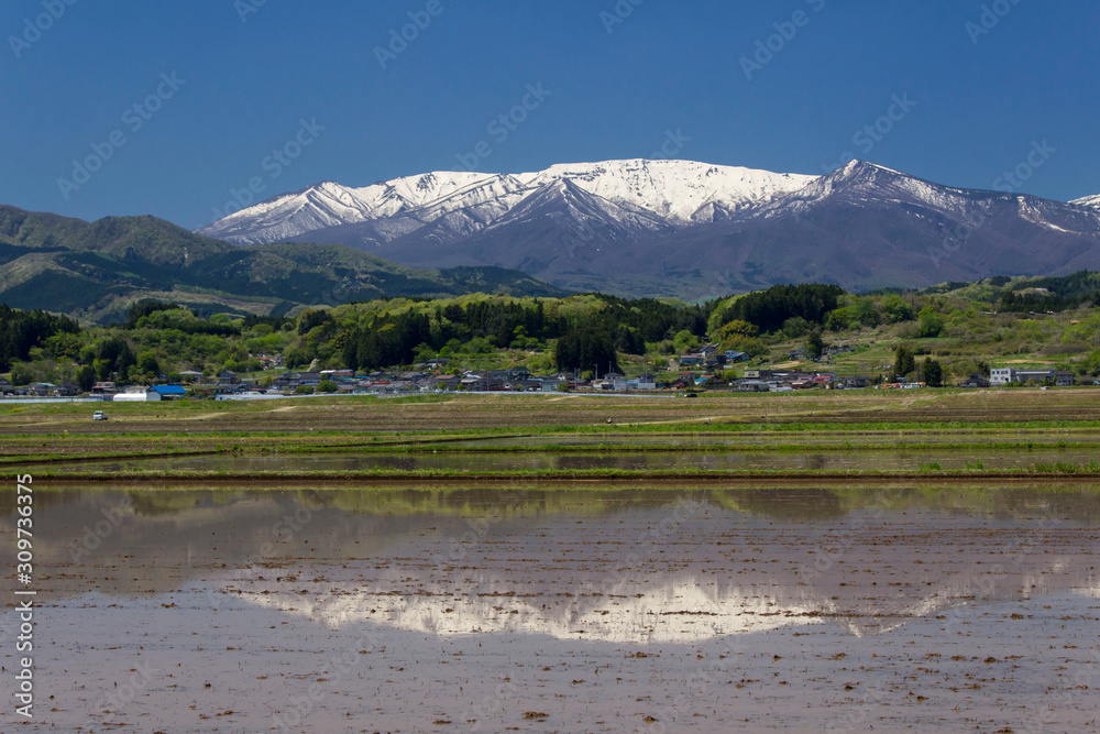 円田水田から望む蔵王連峰／宮城県蔵王町