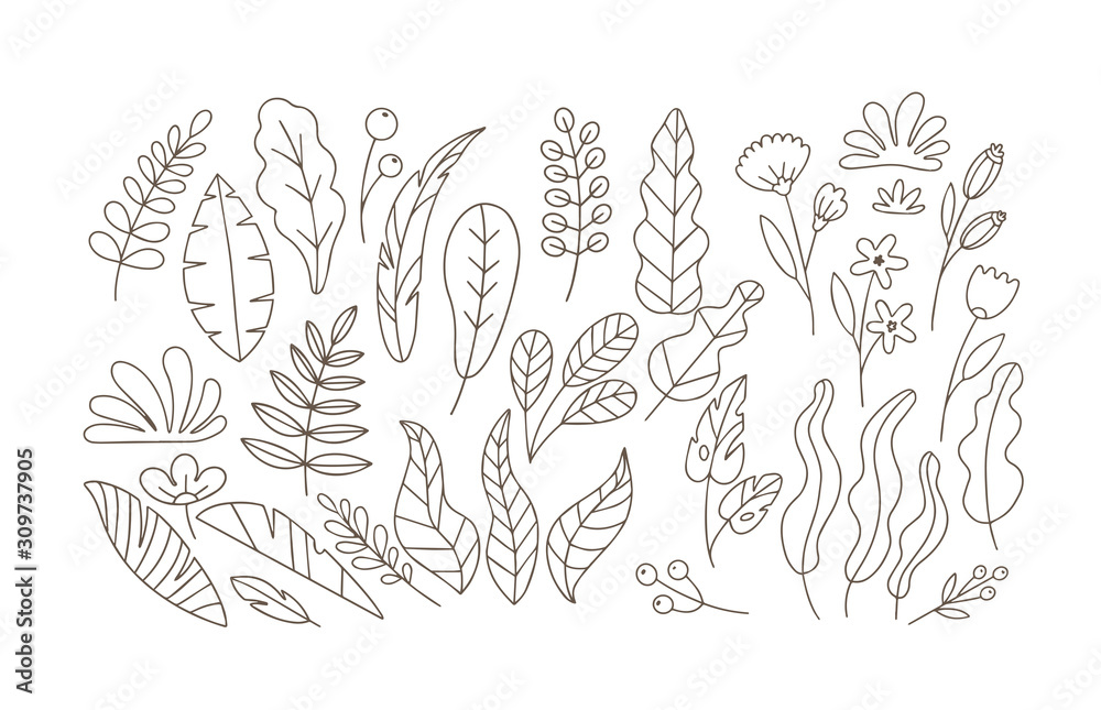 Vector doodle leaves and flowers flat set Vector doodle leaves and flowers flat set