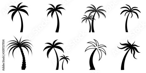 Fotótapéta set of silhouettes of palm trees