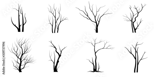 silhouette of tree