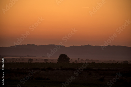 Sunset landscape view of silhouette mountains and lonely trees in Azerbaijan. Sheki