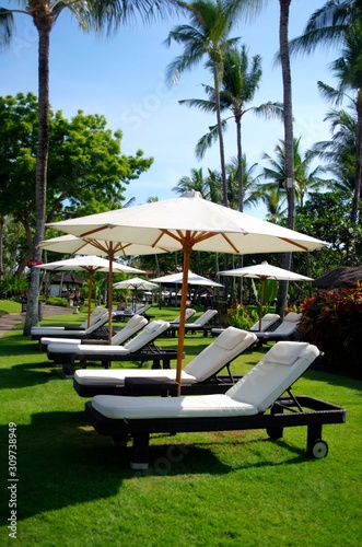 reclining lounge chairs under large umbrellas next to swimming pool