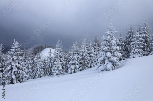 Beautiful landscape on the cold winter foggy morning. High mountain with snow white peaks. Amazing snowy forest. Wallpaper background. Location place Carpathian, Ukraine, Europe. © Vitalii_Mamchuk
