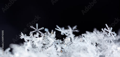 photo real snowflakes during a snowfall, under natural conditions at low temperature