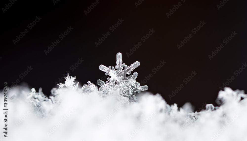 photo real snowflakes during a snowfall, under natural conditions at low temperature photo real snowflakes during a snowfall, under natural conditions at low temperature