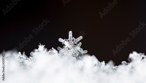 photo real snowflakes during a snowfall, under natural conditions at low temperature