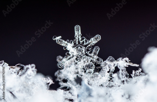 photo real snowflakes during a snowfall, under natural conditions at low temperature