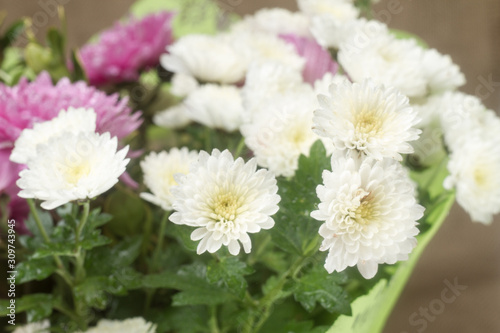 bouquet of flowers