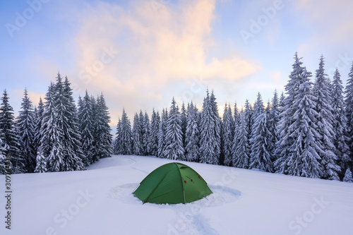 Cold winter day. Green tent stands on the snowy lawn. High spruce trees. Touristic camping rest place. Mountain landscape. Amazing forest covered with snow. Location Carpathian, Ukraine, Europe.