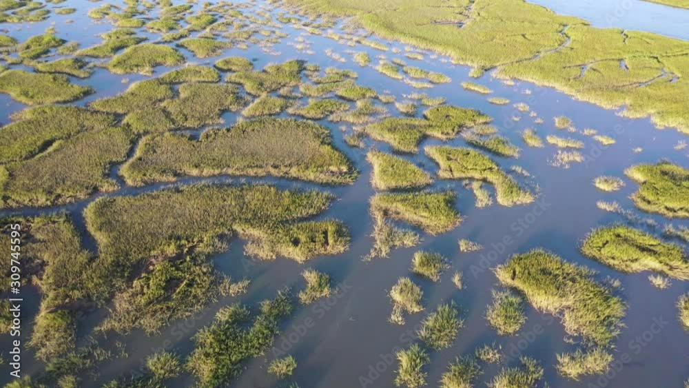 Above Georgia wetlands, near Tybee Island. Above Georgia wetlands, near Tybee Island.