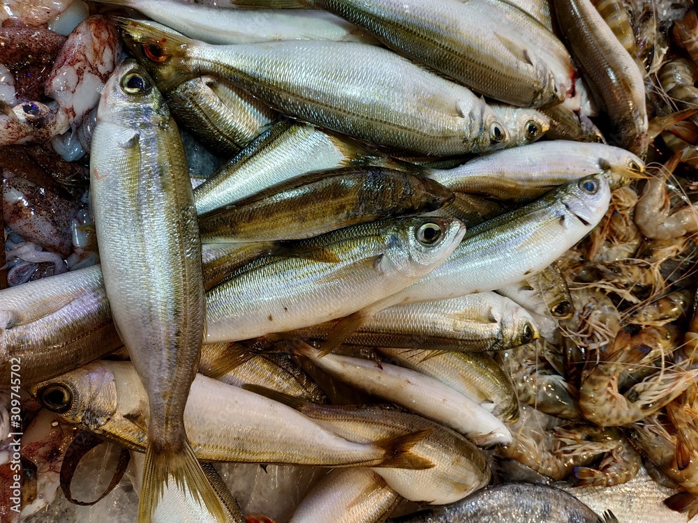 Fototapeta premium fresh fish on the market counter at Ksadasi, Turkey
