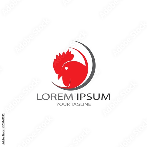 Chicken logo vector illustration template