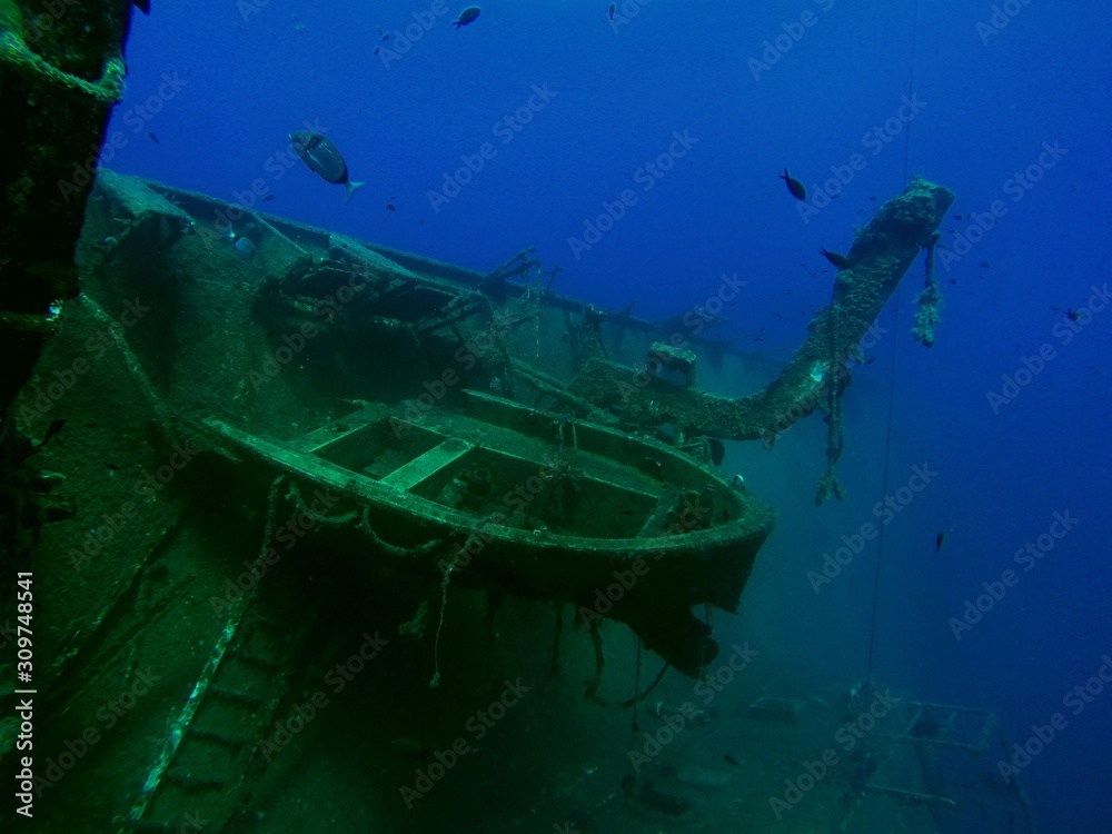 Zenobia - Wreck Diving - obrazy, fototapety, plakaty 