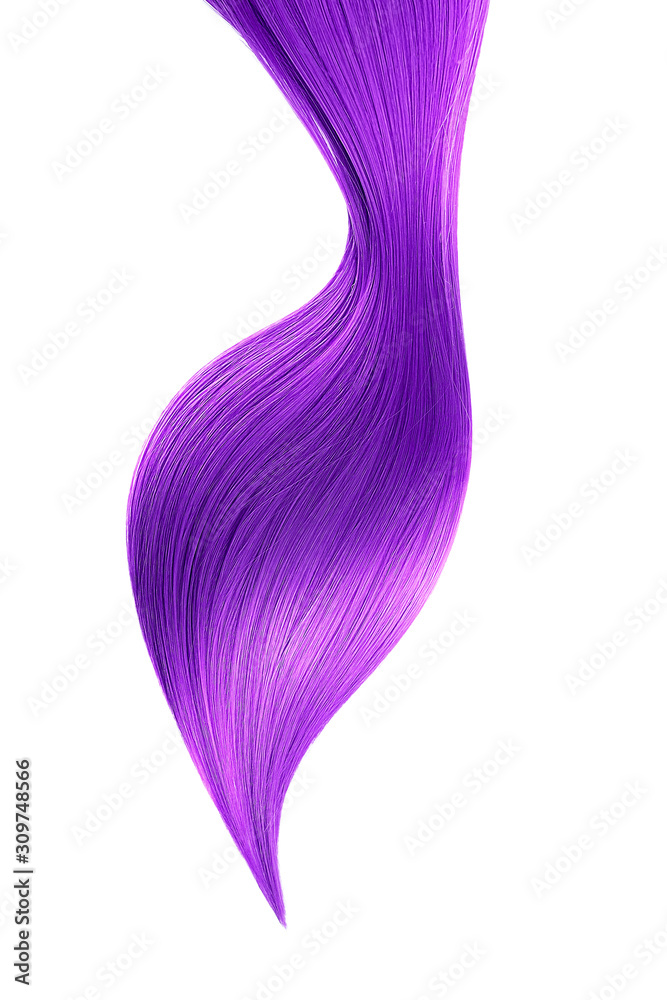 Purple shiny hair on white background, isolated. Long ponytail