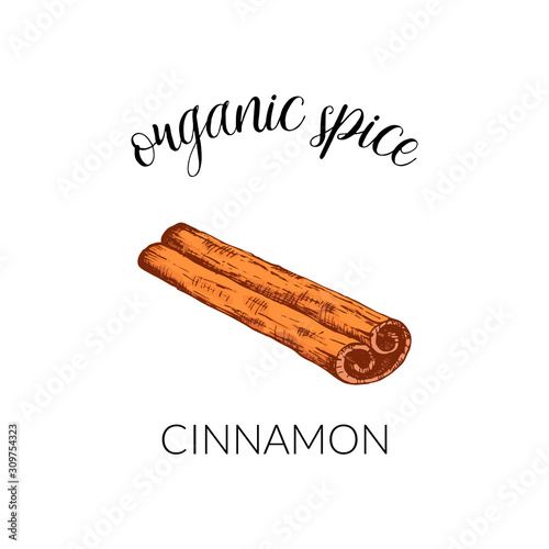 Vector illustration with cinnamon. Hand drawn label isolated on white background. Banner for organic herbs and spices or logo concept. For package design.