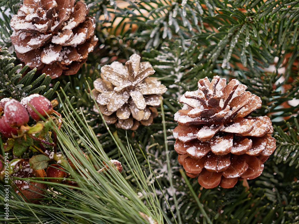 Obraz premium Winter decoration, with pine cones and red berries on dark green pine branches - with focus stacking