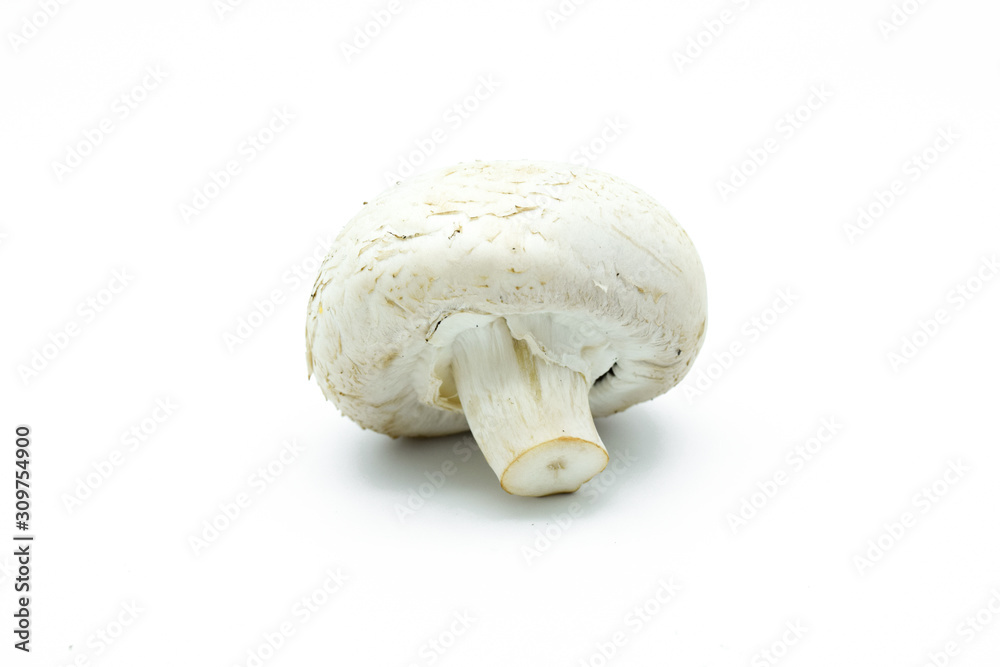 Champignon mushroom isolated on white background Champignon mushroom isolated on white background