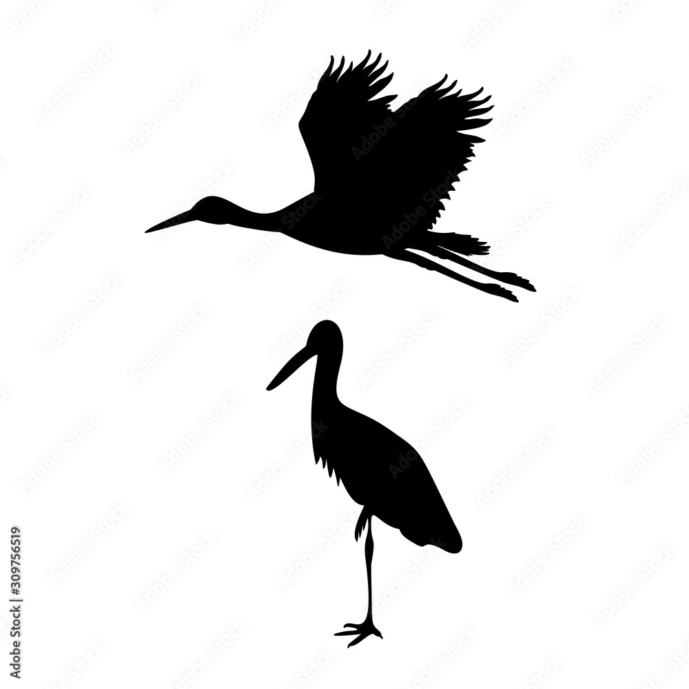 Fototapeta premium Silhouette of two storks. Animal birds.