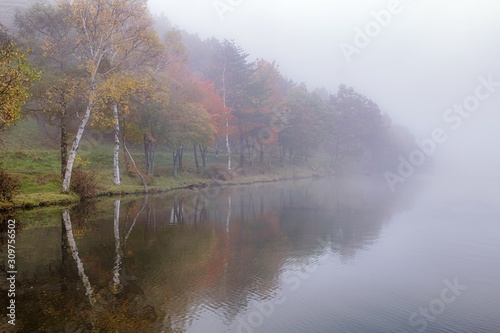 長野県・女神湖の朝霧 2