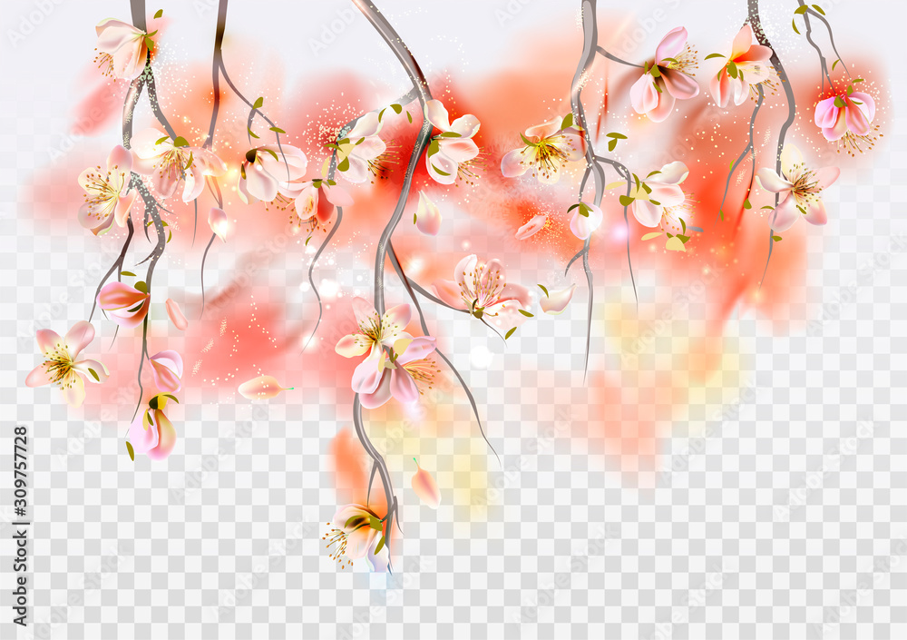 Fototapeta premium Vector background with spring cherry blossom. Sakura branch in springtime with falling petals and blurred transparent elements
