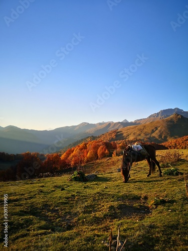 sunset in the mountains