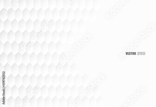 Abstract. Hexagon white Background. light and shadow. copy space .Vector.