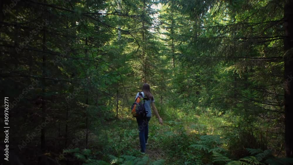 View back of a young brunette woman in a striped t shirt with an orange backpack walking through a coniferous forest. View back of a young brunette woman in a striped t shirt with an orange backpack walking through a coniferous forest.