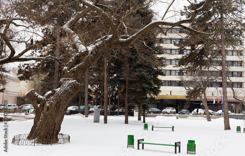 Winter walk in the park