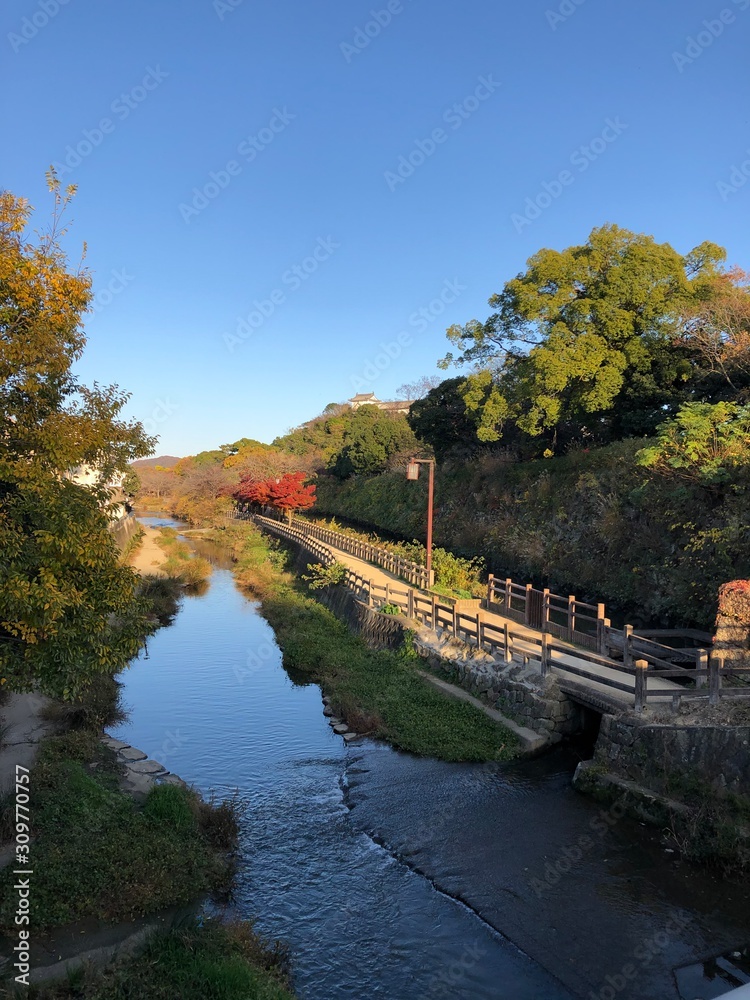 Fototapeta premium bridge over the river