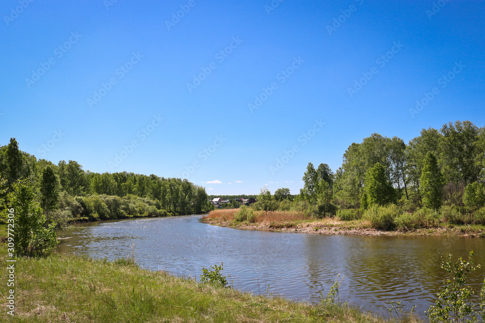 Summer landscape - A calm flat river among fields and birch groves under a blue sky. Cloudless summer weather.