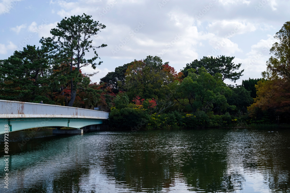 Fototapeta premium 秋の服部緑地・山ヶ池と白鳥橋 