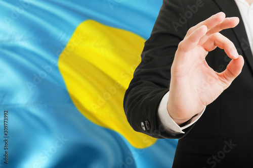 Palau acceptance concept. Elegant businessman is showing ok sign with hand on national flag background. photo