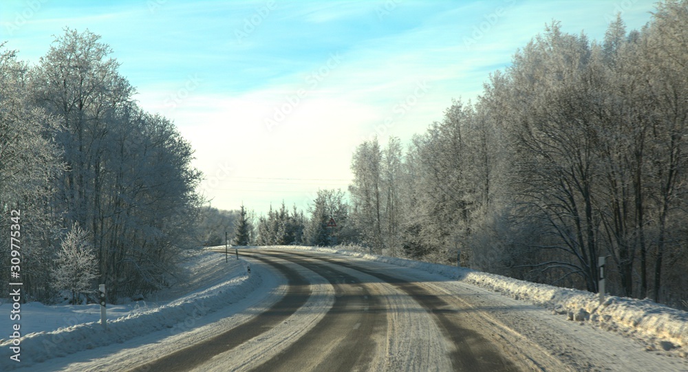 Beautiful sunny winter day with white trees and asphalt road in the foreground Beautiful sunny winter day with white trees and asphalt road in the foreground