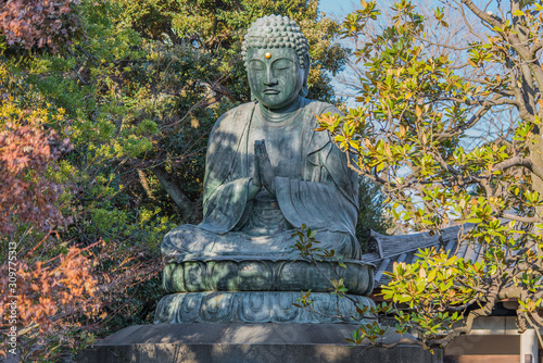 Giant bronze statue depicting the Buddha Shaka Nyorai in the Tendai Buddhism Tennoji temple in the Yanaka cemetery of Tokyo. photo
