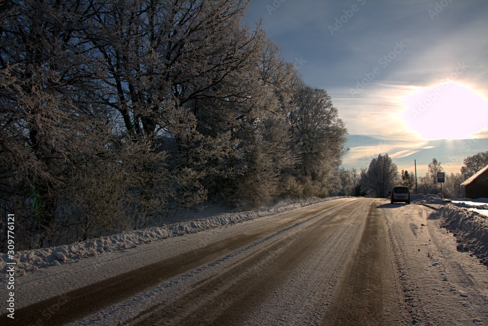 Beautiful sunny winter day with white trees and asphalt road in the foreground