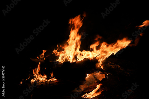 Bonfire fire flame bonfire night. Birch logs burn in a fire.