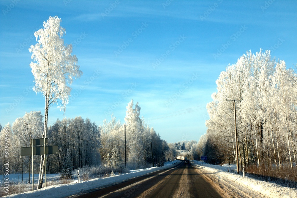 Beautiful sunny winter day with white trees,cold winter day Beautiful sunny winter day with white trees,cold winter day