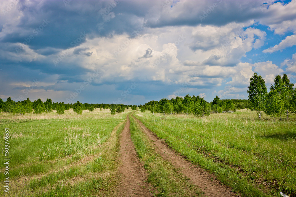 Field dirt road among fields and young growth of birches under low thunderclouds. Travel concept by bike or on foot.