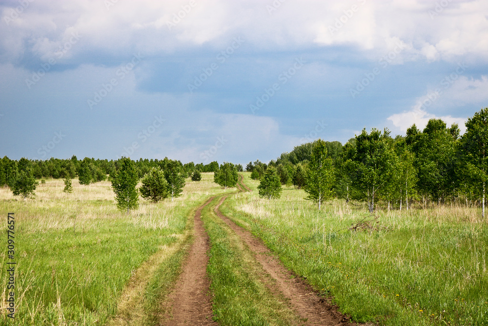 Field dirt road among fields and young growth of birches under low thunderclouds. Travel concept by bike or on foot.