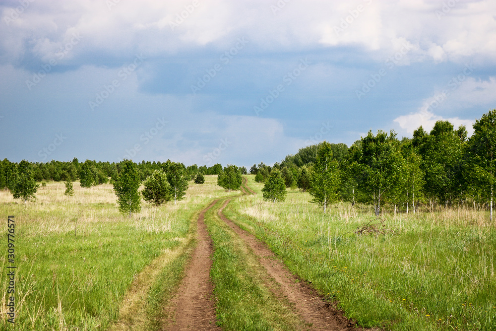 Field dirt road among fields and young growth of birches under low thunderclouds. Travel concept by bike or on foot. Field dirt road among fields and young growth of birches under low thunderclouds. Travel concept by bike or on foot.