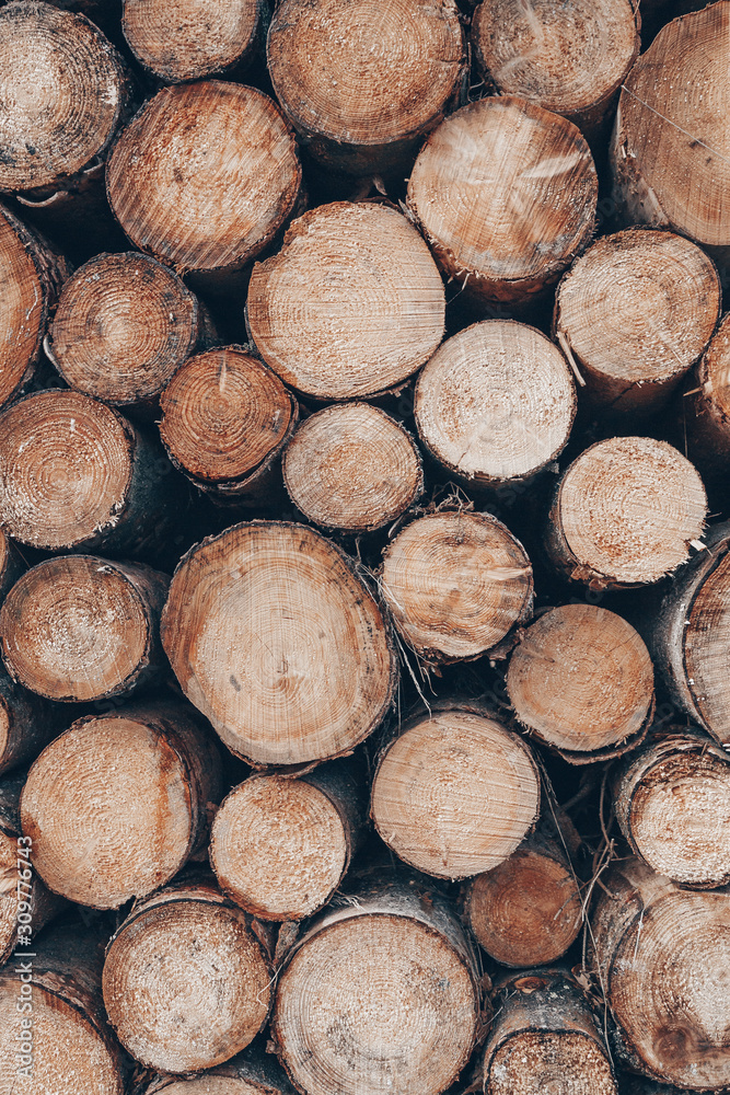 pile of logs background