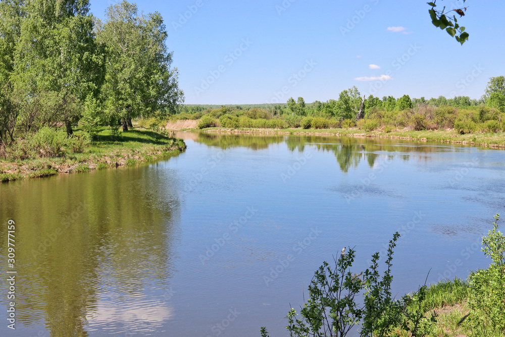 Summer landscape - A calm flat river among fields and birch groves under a blue sky. Cloudless summer weather.