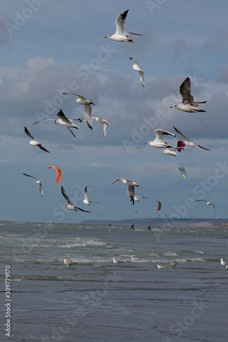 Le touquet 2018