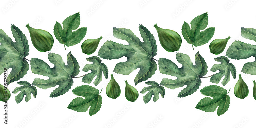 Watercolor borders with Fig leaves and fruits
