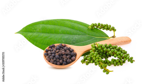 Fresh young green pepper corns and dried black pepper corns on white background