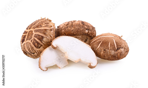 shitake mushroom on white background