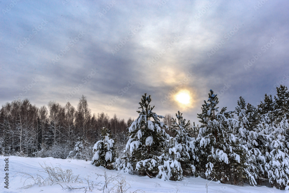 winter landscape with trees and blue sky winter landscape with trees and blue sky