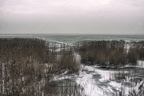 coast of the frozen sea